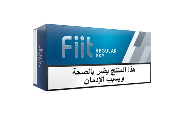 FIIT Regular SKY