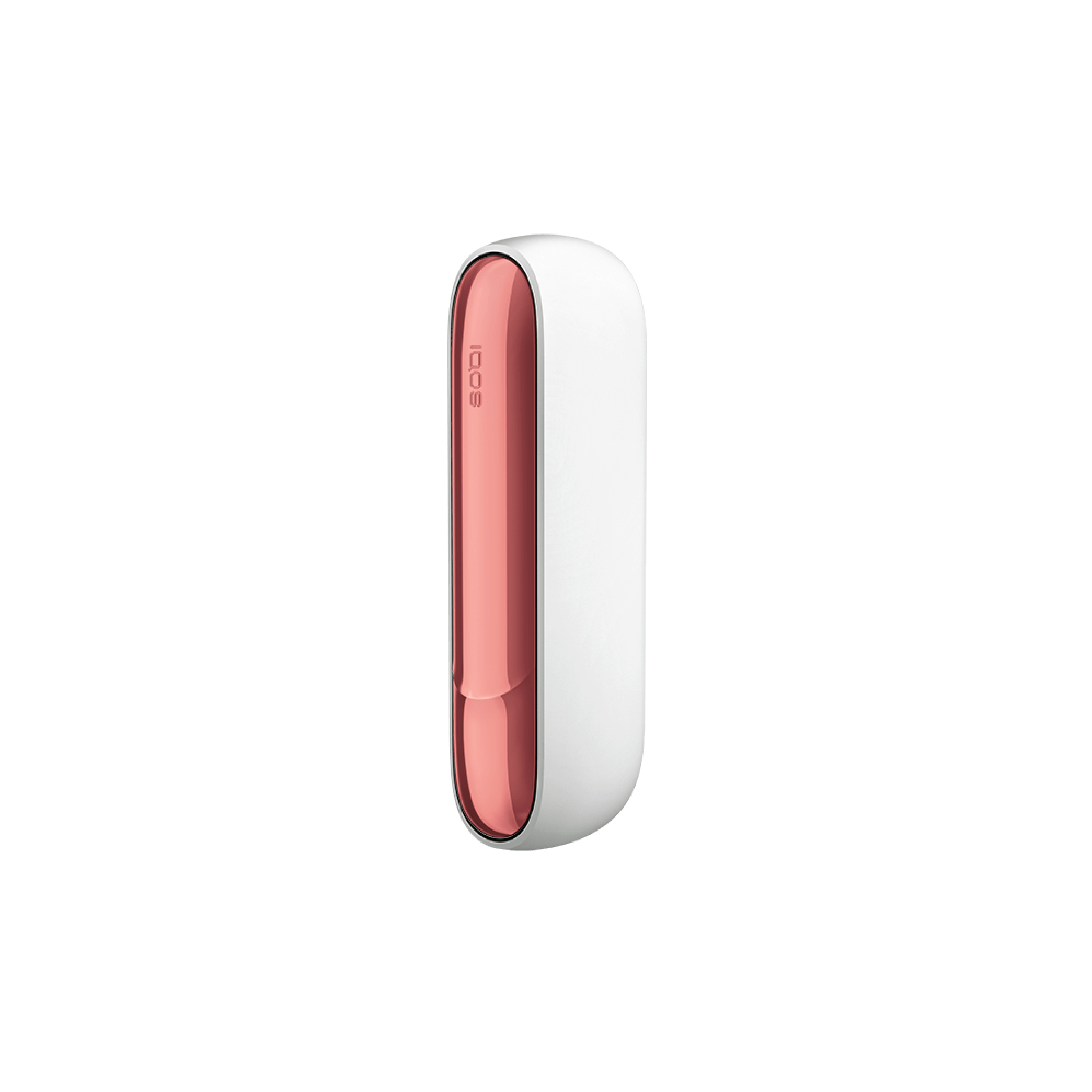 Door Cover 