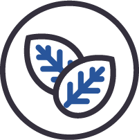 طعم التبغ الحقيقي