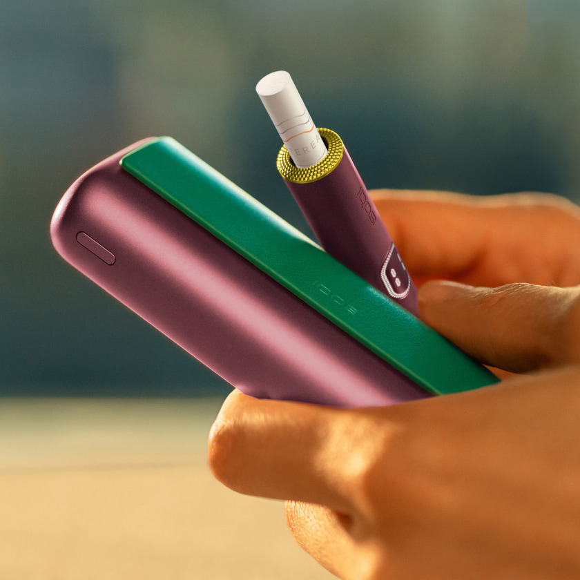 جهاز IQOS ILUMA PRIME أخضر زمرّدي وشاحنه في يد.