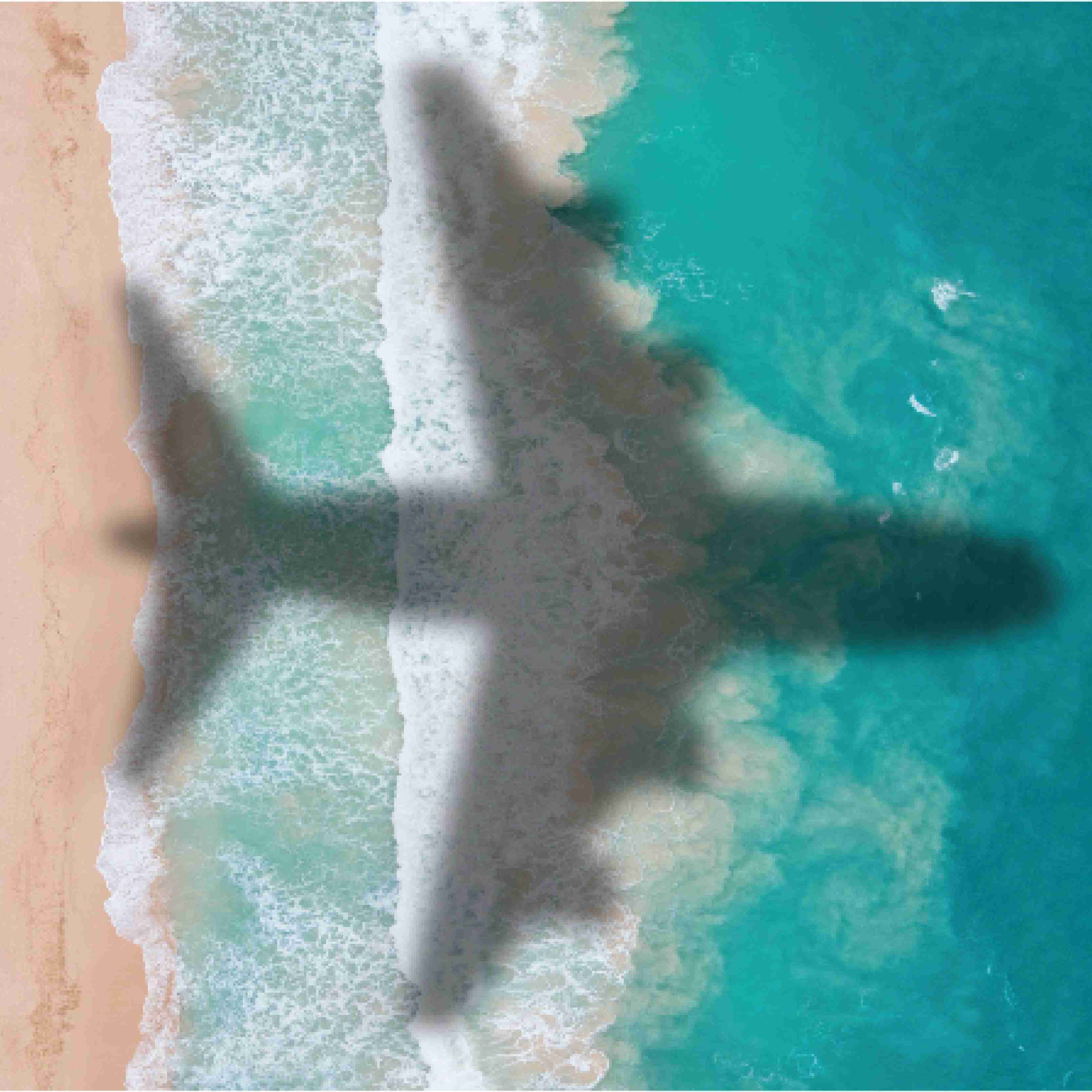 Blue Wings Travel